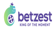 Betzest Casino Review (Brazil)
